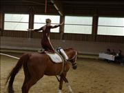 voltitag 2009 _CD1 046